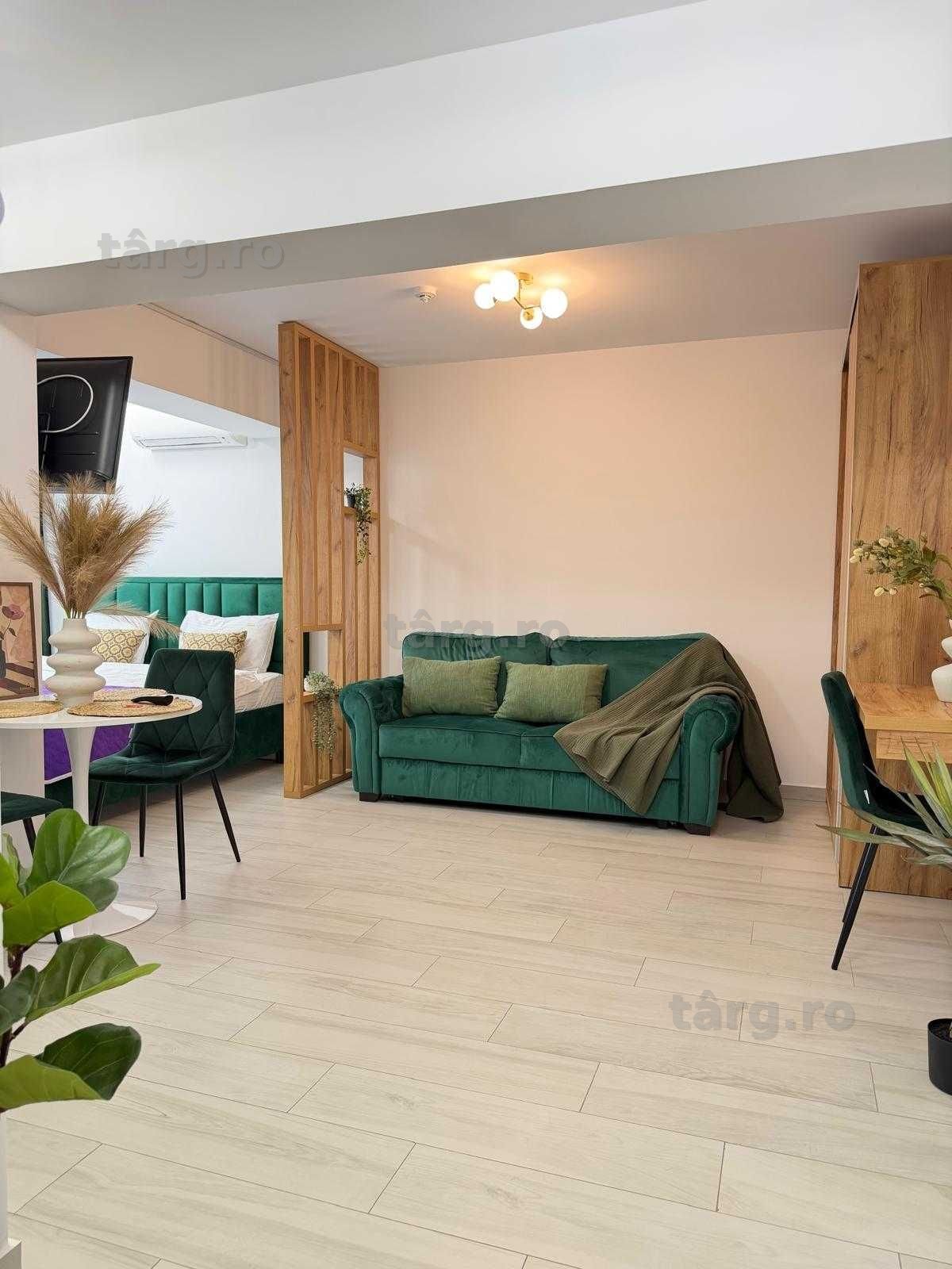 IS Apartamente 1/2/3 cam in Regim Hotelier Iasi Palas Centru Newton 8