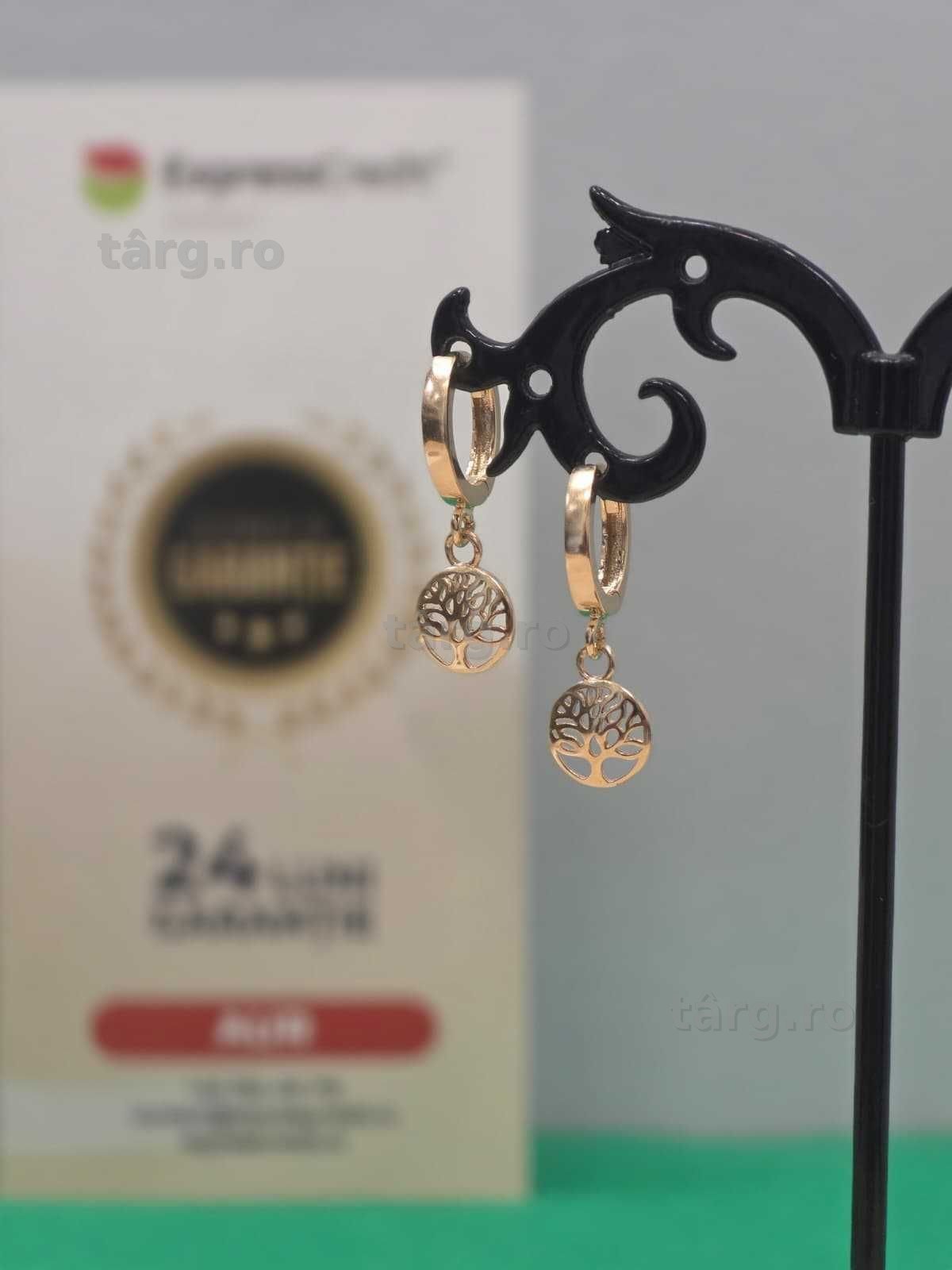 Cercei aur 14K 2.14g [Ag45 Bacau1 B.5239.1]