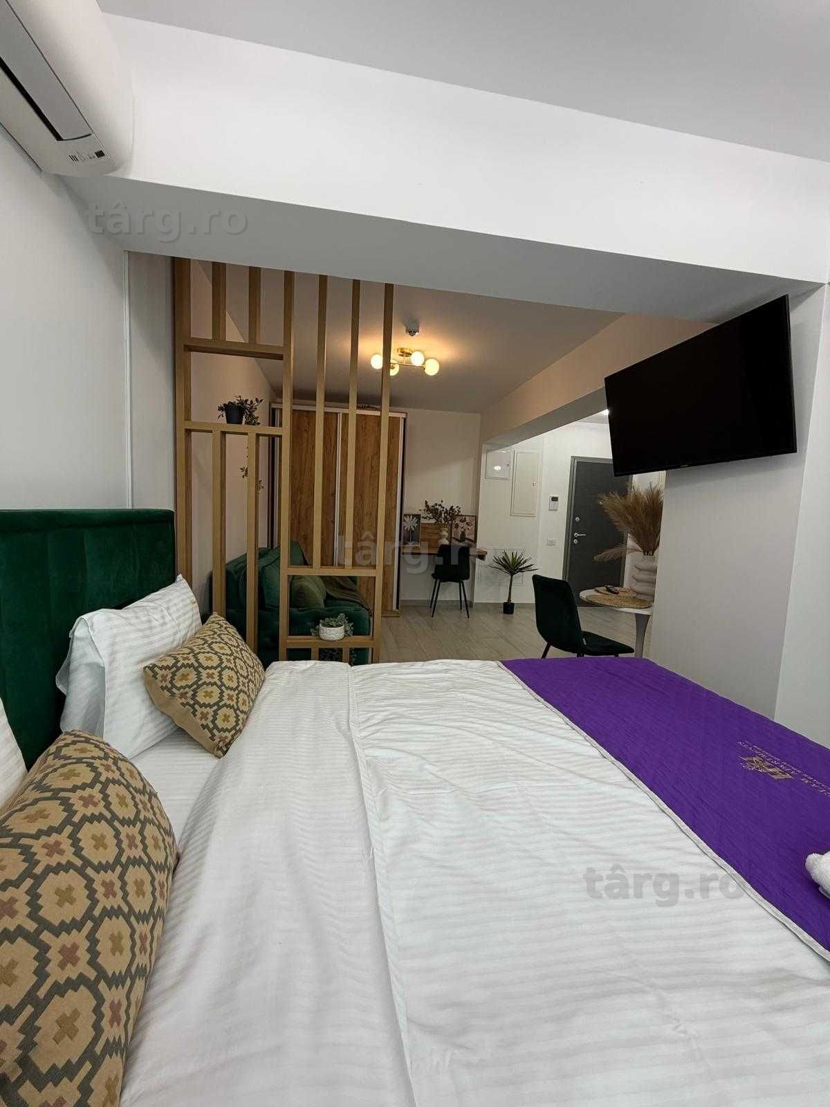 IS Apartamente 1/2/3 cam in Regim Hotelier Iasi Palas Centru Newton 5