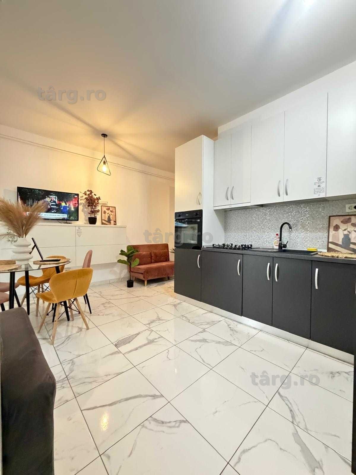 IS Cazare Apartamente Regim Hotelier Ap 1-2-3 C Firme/Echipe Muncitori 8