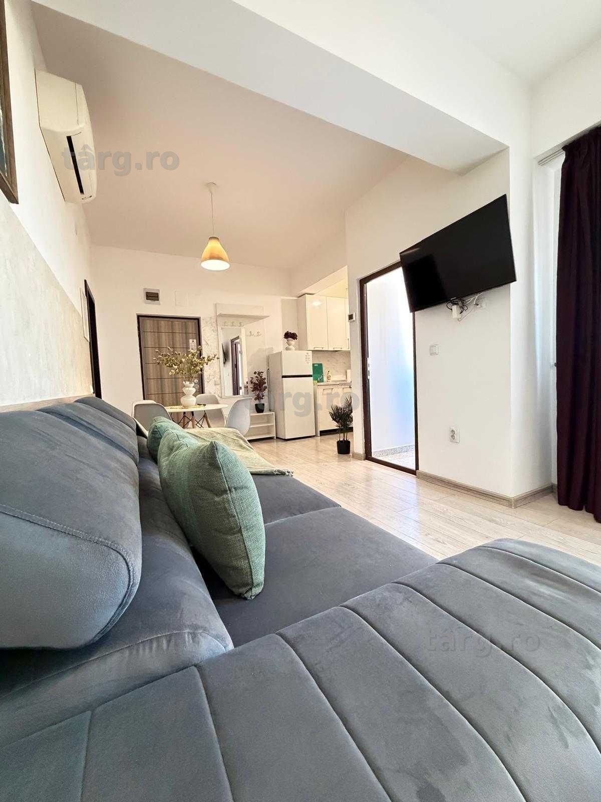 IS Cazare Apartamente Regim Hotelier Central 1-2-3 cam Palas-Newton 7