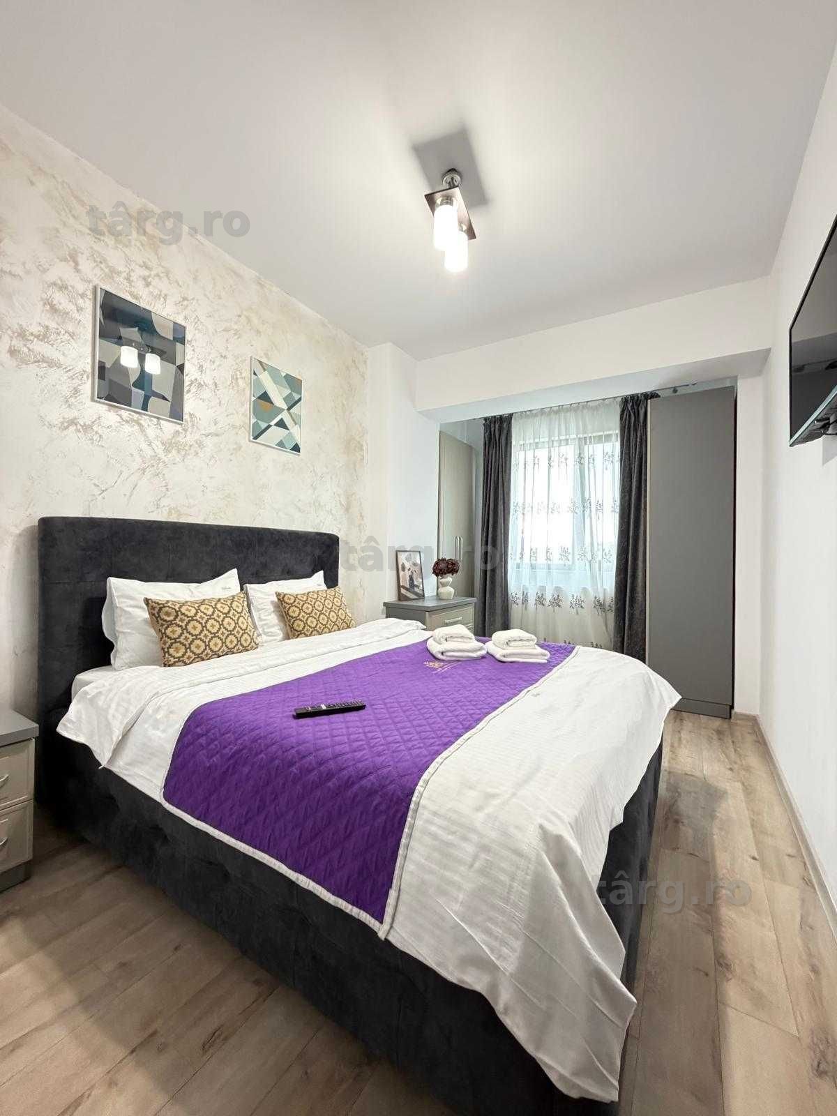 IS Cazare Regim Hotelier Centru Palas Newton Aeroport Apart 1-2-3 Cam 4