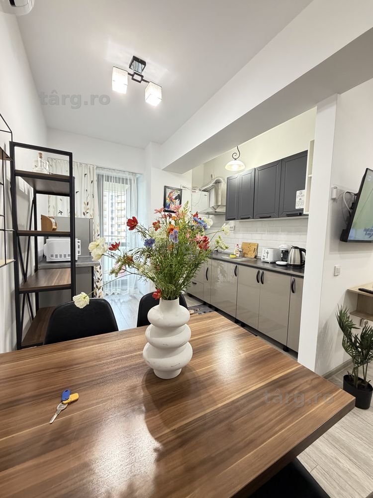 IS Studios & Apartamentes Regim Hotelier Centru-Palas-Newton 1-2-3 Cam 3