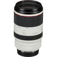 Canon RF 70-200mm F2.8 L IS USM Lens