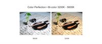 NanLite LumiPad 11 Dimmable Adjustable Bi-Color Slim Soft LED Panel
