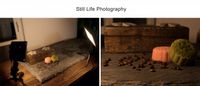 NanLite LumiPad 11 Dimmable Adjustable Bi-Color Slim Soft LED Panel