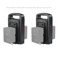 SmallRig Dual Channel V-Mount Battery Charger (European Standard) 4578