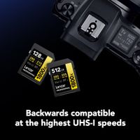Lexar Professional SDXC 1800x Pro U3 UHS-II V60 256GB Memory Card GOLD Series