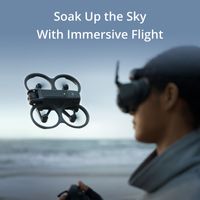 DJI Avata 2 Fly More Combo - Three Batteries + Googles 3 with Real View PiP