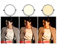 Digital Power SL-360ARC Professional 70 W Bi-Color Dimmable LED Studio Light