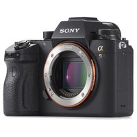 Sony Alpha A9 Mirrorless Digital Camera (Body) ILCE9/B