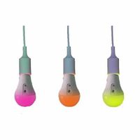 Astera Kit 8 NYX LED Bulbs with PowerStation, Case and Accessories 