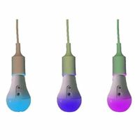 Astera Kit 8 NYX LED Bulbs with PowerStation, Case and Accessories 
