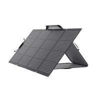 EcoFlow 220W Bifacial Solar Panel 