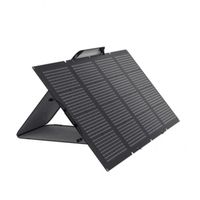 EcoFlow 220W Bifacial Solar Panel 