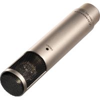 Sennheiser MKH 800 TWIN Ni Variable Polar Pattern Universal Studio Microphone (Nickel)