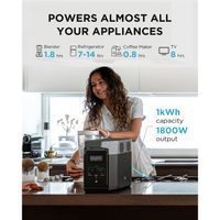 EcoFlow Delta 2 Portable Power Station 1024 Wh  5003601004