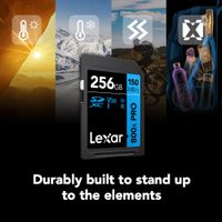 Lexar SDXC 800x Pro UHS-I V30 256GB High-Performance Memory Card BLUE Series
