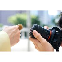 Sony FE 8-14mm F3.5 Fisheye G Lens (Sony E)
