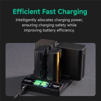 Accsoon TOPRIG 100W 4-Bay L-Series/NP-F Fast Charger BC-01 (BC01)