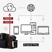Panasonic Lumix DC-GH7M Mirrorless Camera with 12-60mm f/3.5-5.6 Lens