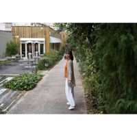 Sony FE 50mm f/1.4 GM Lens
