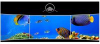 FeelWorld (SEETEC) 4K215-9HSD-192-CO 21.5 inch Full HD IPS Broadcast Carry-On Director Monitor SDI HDMI