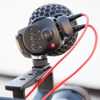 RODE Stereo VideoMic X Broadcast-Grade Stereo On-Camera Microphone