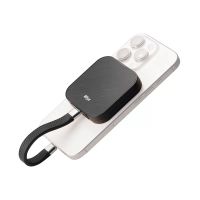 Wise Advanced 1TB i4 Mobile SSD( For iPhone)