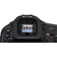 Canon EOS R1 Mirrorless Camera (Body)